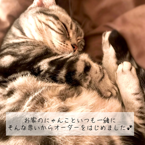 にゃんこ♡イチゴ味 かき氷風 ピアス/イヤリング✩.*˚ にゃんこ