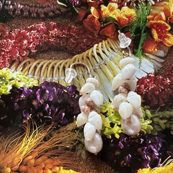 ニイハウシェルとピンクパールのピカケスタイルピアス ピアス（フック