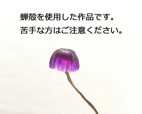 冬虫夏草 冬虫夏草GXドリンク | KuuShop
