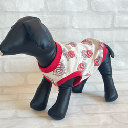 小型犬服　ポップコーン柄　コットンニット　わんこ服　犬服　かわいい 15枚目の画像