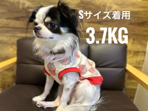 小型犬服　ポップコーン柄　コットンニット　わんこ服　犬服　かわいい 4枚目の画像