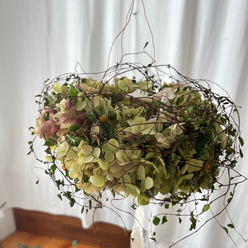 フライングリース(アナベル&ワイヤープランツ) / ドライフフラワーリース