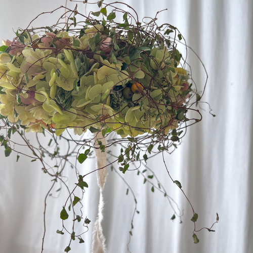 フライングリース(アナベル&ワイヤープランツ) / ドライフフラワーリース