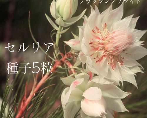 81d3c4bc6c379c0fa2dfab7df04abe