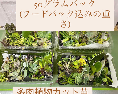imgrc0111987836.jpg