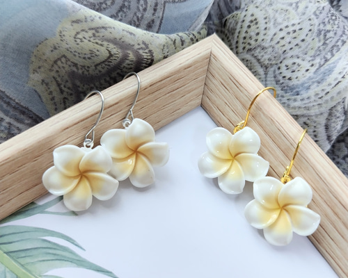 72a62c5ac7b51fbf08f4a8f2116b30