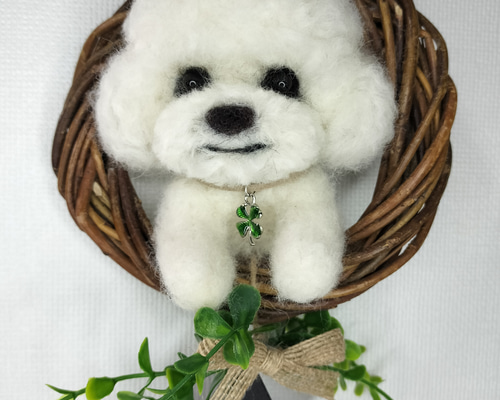 羊毛フェルトオーダー♡アプリコットプードルちゃん実物大。確認用