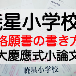 小学校受験　お受験　モンテッソーリ　願書　暁星小学校 過去問 願書 書き方 問題集 慶應義塾横浜初等部 慶應義塾幼稚舎 1枚目の画像