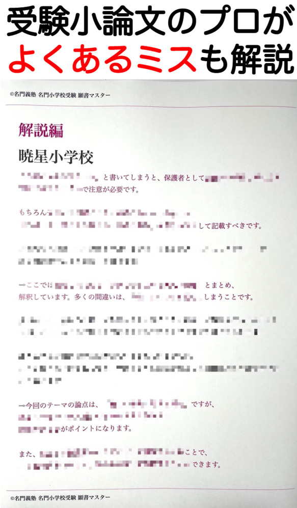 小学校受験　お受験　モンテッソーリ　願書　暁星小学校 過去問 願書 書き方 問題集 慶應義塾横浜初等部 慶應義塾幼稚舎 8枚目の画像