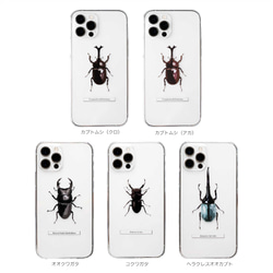 甲虫 標本風スマホケース【カブトムシ/クワガタ/ヘラクレスオオカブト】iPhone15〜 10枚目の画像