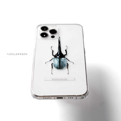 甲虫 標本風スマホケース【カブトムシ/クワガタ/ヘラクレスオオカブト】iPhone15〜 7枚目の画像