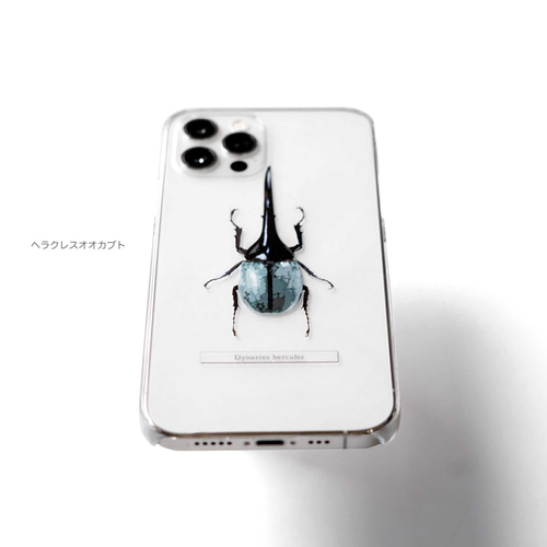 甲虫 標本風スマホケース【カブトムシ/クワガタ/ヘラクレス