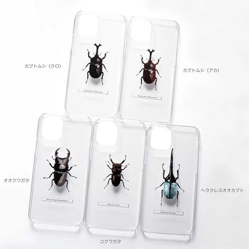 甲虫 標本風スマホケース【カブトムシ/クワガタ/ヘラクレス 甲虫 標本風スマホケース【カブトムシ/クワガタ/ヘラクレス