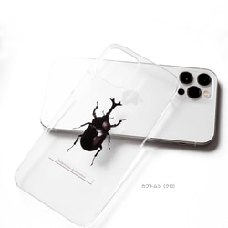 甲虫 標本風スマホケース【カブトムシ/クワガタ/ヘラクレスオオカブト】iPhone15〜 3枚目の画像