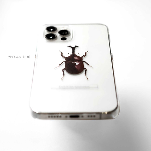 甲虫 標本風スマホケース【カブトムシ/クワガタ/ヘラクレス 甲虫 標本風スマホケース【カブトムシ/クワガタ/ヘラクレス