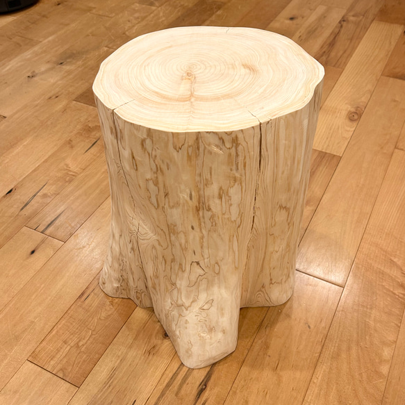 Hinoki  Wood  Stool 【Flare】No.395 1枚目の画像