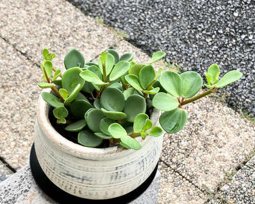 c2e685ac430f367ddacef80595e3a8