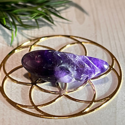 55ad459b9a79413ee72dc4690dc2fa