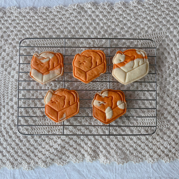 ボックスネコ クッキーカッターセット/ 猫模様クッキー作り / ホームベーキング用品 1枚目の画像
