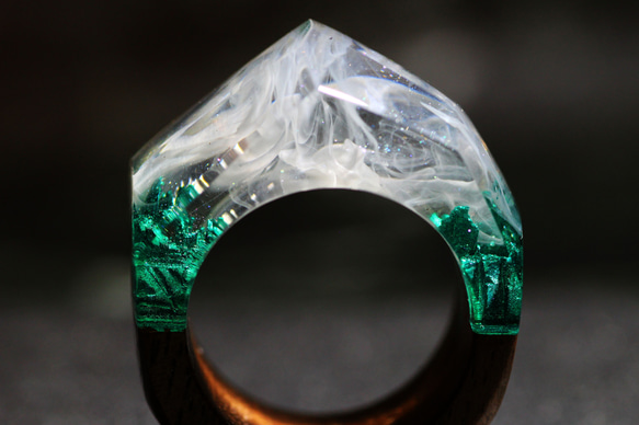 【限定作品】Nature Ring ウッドレジンリング 15号 5枚目の画像