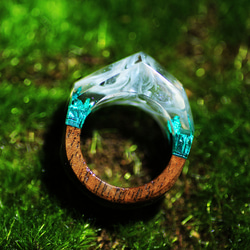 【限定作品】Nature Ring ウッドレジンリング 15号 1枚目の画像