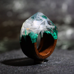 【限定作品】Nature Ring ウッドレジンリング 15号 4枚目の画像