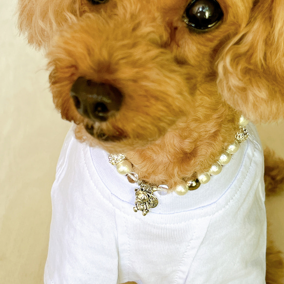 犬、猫、ペット用首輪　ネックレス　水晶×ハートチャーム　テディベア付き　コットンパール　内径約22センチ 11枚目の画像