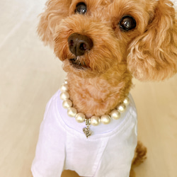 犬、猫、ペット用首輪　ネックレス　水晶×ハートチャーム　テディベア付き　コットンパール　内径約22センチ 12枚目の画像