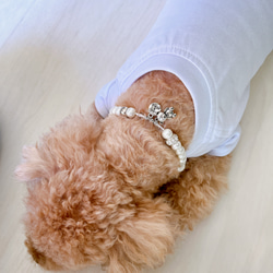 犬、猫、ペット用首輪　ネックレス　水晶×ハートチャーム　テディベア付き　コットンパール　内径約22センチ 13枚目の画像