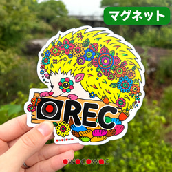 アニマル防水ステッカー♥カメレオン シール・ステッカー owocowac