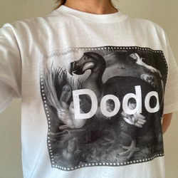 ［Dodo]Dodo Tシャツ 2枚目の画像