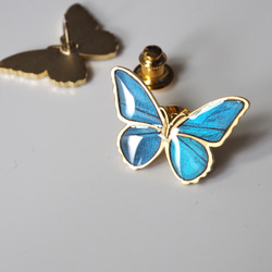 モルフォ蝶のアンティークピンブローチ 5枚目の画像