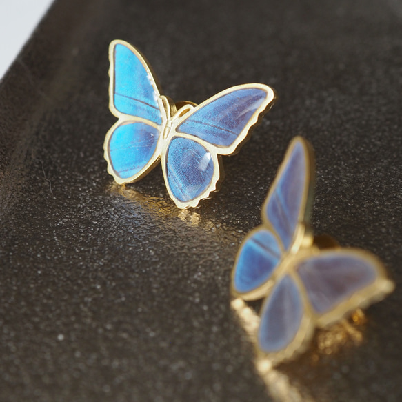 モルフォ蝶のアンティークピンブローチ 4枚目の画像