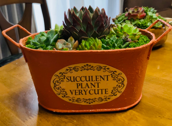 40）〜10/30 10%オフ！ 現品限り！ハロウィンカラーリメイクブリキ  