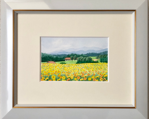 キバナコスモスのフィールド03」透明水彩画 原画 風景画 額縁付