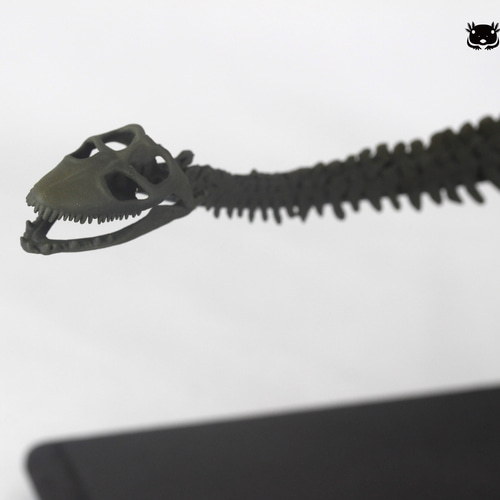 プレシオサウルスの仲間の骨　化石 リアルネッシー？ 完全に淡水で生活していたプレシオサウルスの