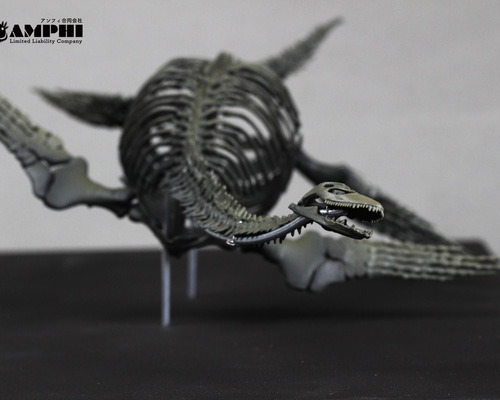 受注生産】プレシオサウルス類 縮小全身骨格模型 その他置物 アンフィ