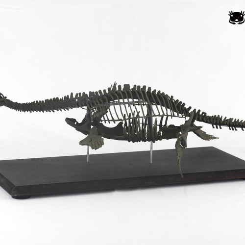 バンダイから発売。恐竜の骨格標本のプラモデルImaginary