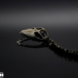 【受注生産】プレシオサウルス類　縮小全身骨格模型 6枚目の画像