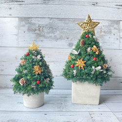 限定5個　卓上サイズ　プリザーブドフラワーグリーンのミニクリスマスツリー（丸型器・金の星） 4枚目の画像
