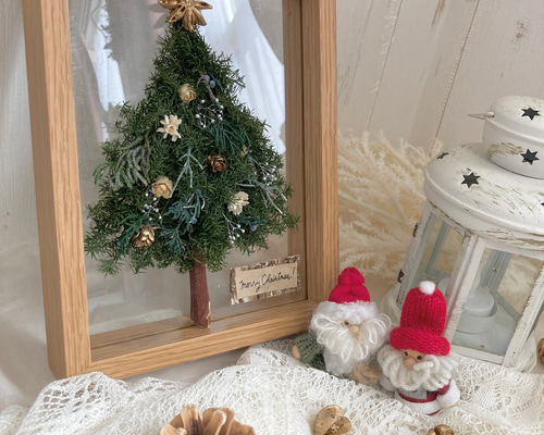 21200835e590dfc283c40dc656b0e8