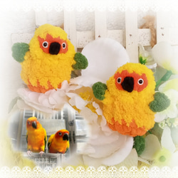 金太陽鸚鵡 小型娃娃玩偶 可加吊飾 別針 可客製改色 手作毛線鉤織小物 鳥 寵物 第1張的照片