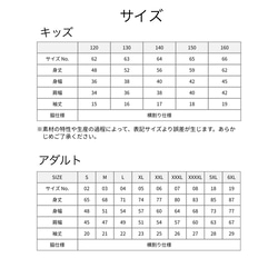  第2張的照片