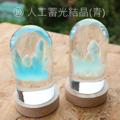 博物レジンランプ(全12種) Resin Lamp of natural history specimens