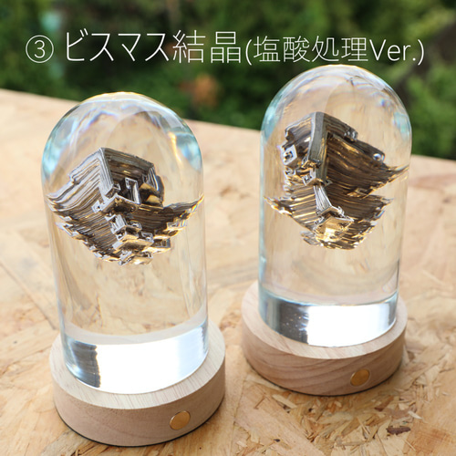 博物レジンランプ(全12種) Resin Lamp of natural history specimens