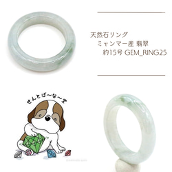 鑑別済 天然石 リング アルタイ隕石 約12号 meteorite69 指輪・リング