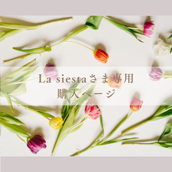 La siesta さま専用ページ 1枚目の画像