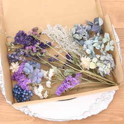 ビビットカラー 花材詰め合わせ ドライフラワー プリザーブドフラワー