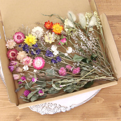 ブルー系】 ドライフラワー 花材 詰め合わせ セット【メール便送料無料