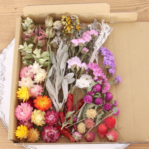 10種類のドライフラワー バラエティセット 花材【A5】 ドライフラワー